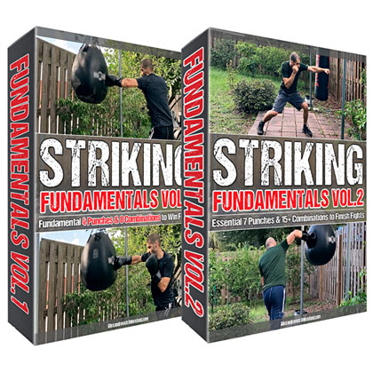Striking Fundamentals Vol1 Fundamental Four