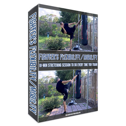 Fighter's Flexibility and Mobility