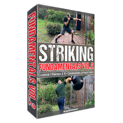 Striking Fundamentals Vol2 Essential Seven