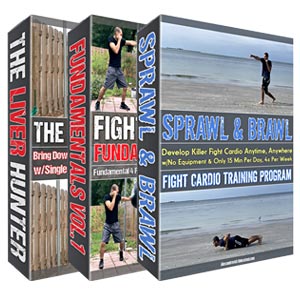 Fight Training From Home Programs/Courses