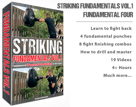 Fundamental Four: The Essential 4 Punches Every Fighter Needs to Master