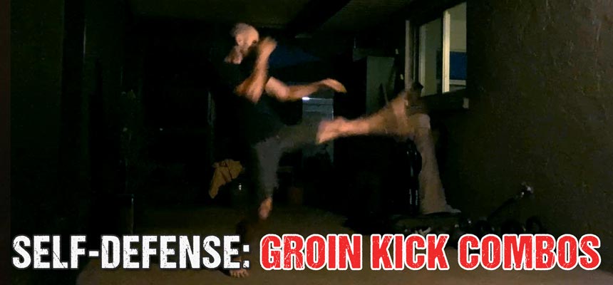 Why the Groin Kick is One of the Best Techniques in Street Self-Defense and 4 Combos to Drill It