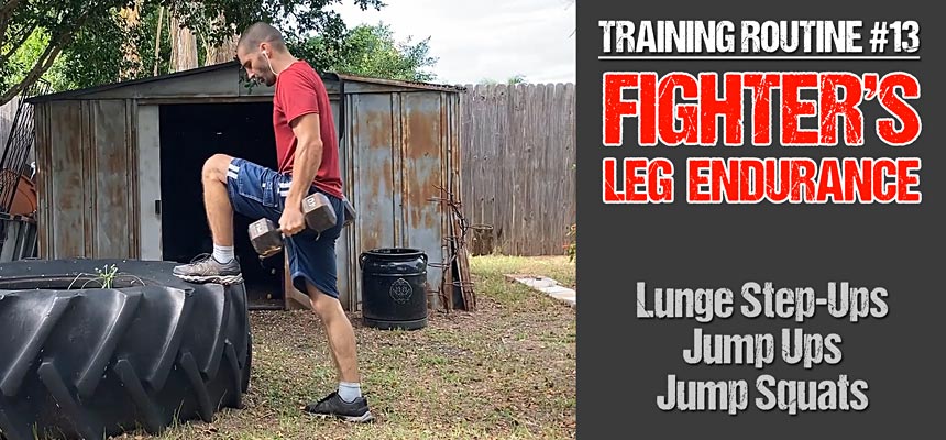 Training Routine #13: Build Explosive Leg Endurance for Fighting with Dumbbell Lunge Step-Ups and Jump Squats